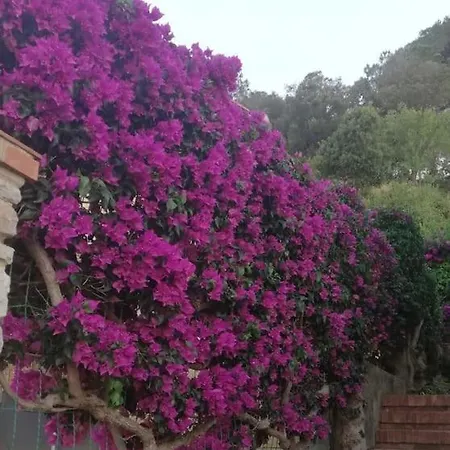 La Casa Sul Mare